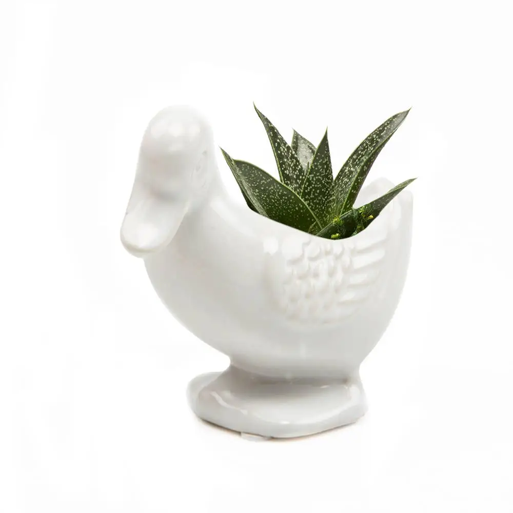 Lucy Duck planter