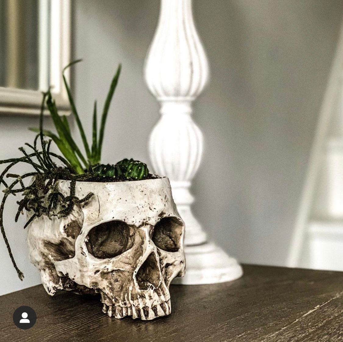 Skull planter