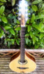 Handmade Octave Mandolin