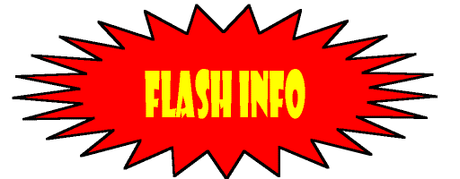 FLASH INFO.gif
