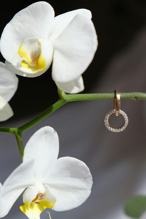 imagem minimalista 1.jpg