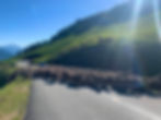 Col du Glandon