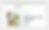 Wix cbd store template