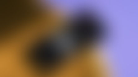 How one man’s Netflix-themed wedding proposal website led to a “yes”