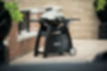 WEBER SPECALIST