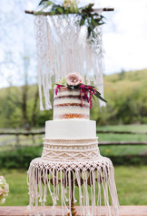 cake shoot just cake.jpg