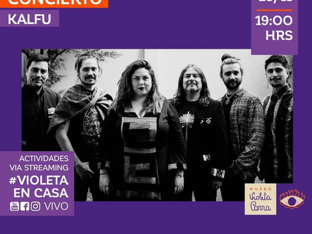📢 #Repost @museovioletaparra ‼