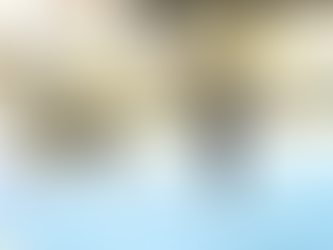 SELECT dog and AWARD OF MERIT for 2 Ivy League dogs at CCAA Regionals Orlando FL!