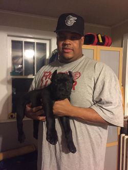 14718813_10154658169966952_5180385759931207559_n