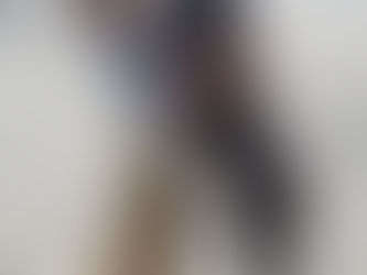 VENDETTA NOW IS A MASTERS in AKC RALLY!