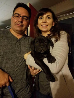 29134888_10156251029286952_1515769631_n