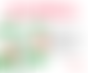 Bilan campagne du piment d'Espelette AOP 2023 - 2024