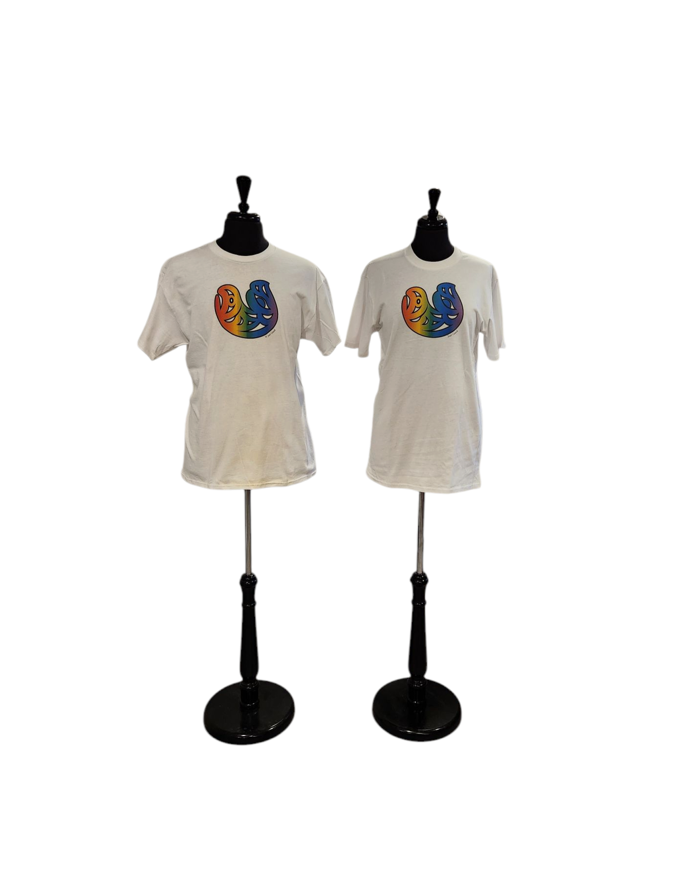 Rainbow Salmon and Eagle Transformation Pride T-Shirt