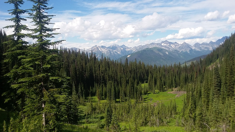 20160728_160434 (1).jpg