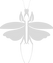 LOGO(3)_edited.png