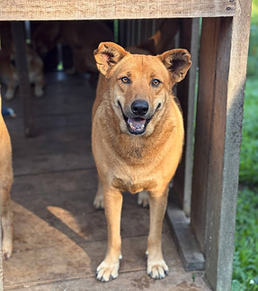 IMAGE 2026-03-26 15_53_26_edited.jpg