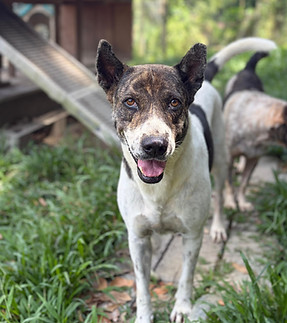 WhatsApp Image 2026-03-12 at 17.34_edited.jpg