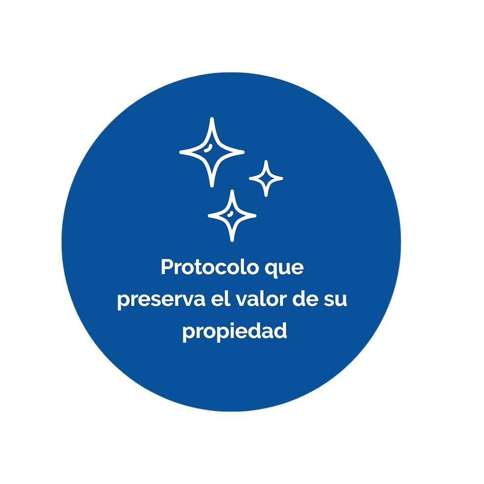 cleaning  (1)_edited.png