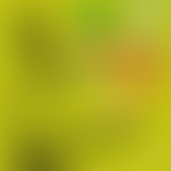 LEGO® SERIOUS PLAY®: Innovando la Forma de Aprender