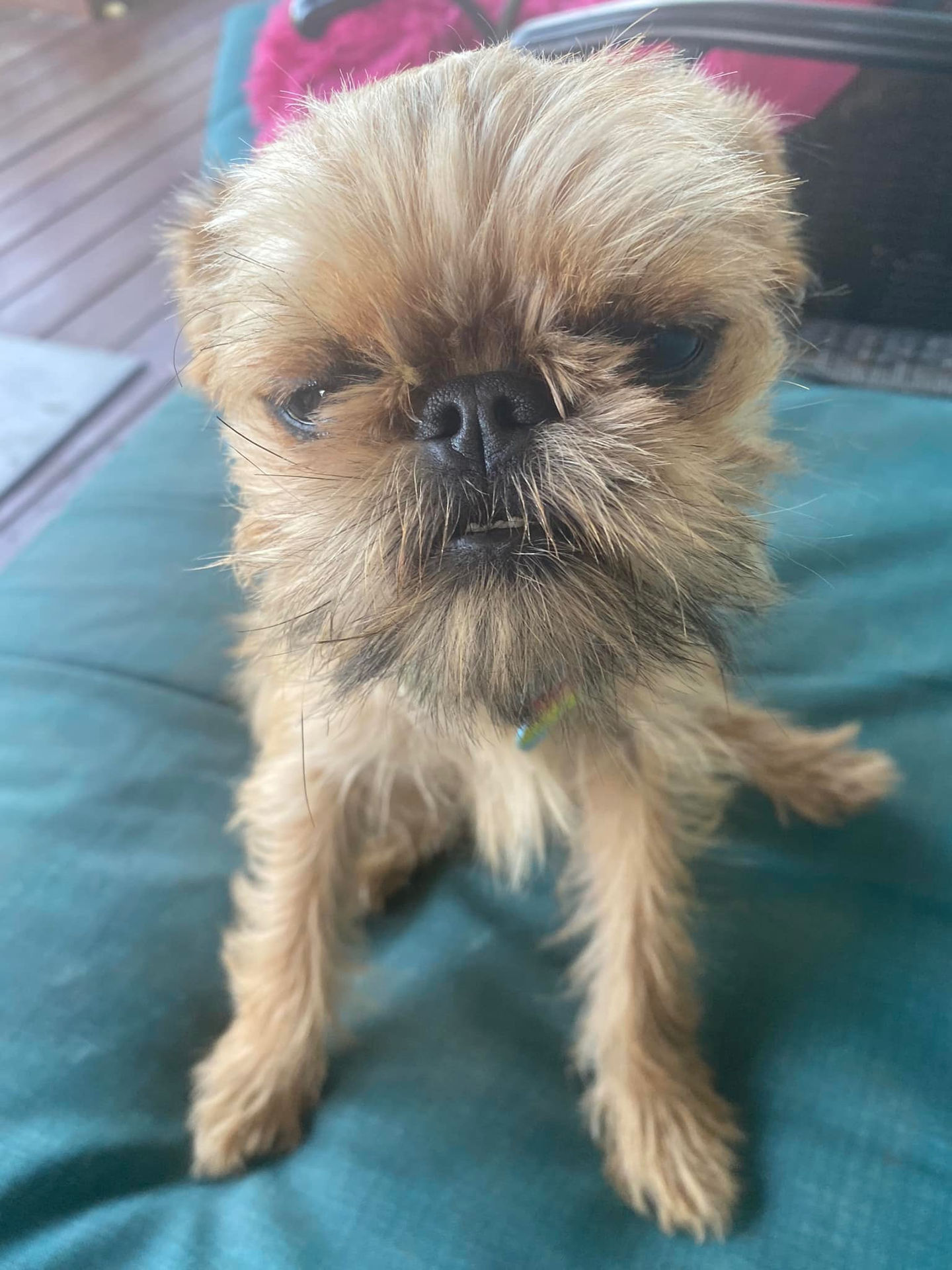 294532284_164876682778715_4108770261143945746_n 2.JPEG