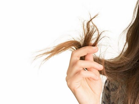 切れ毛はダメージのサイン！
切れ毛を放置するのは危険！
その原因を説明していきます！！