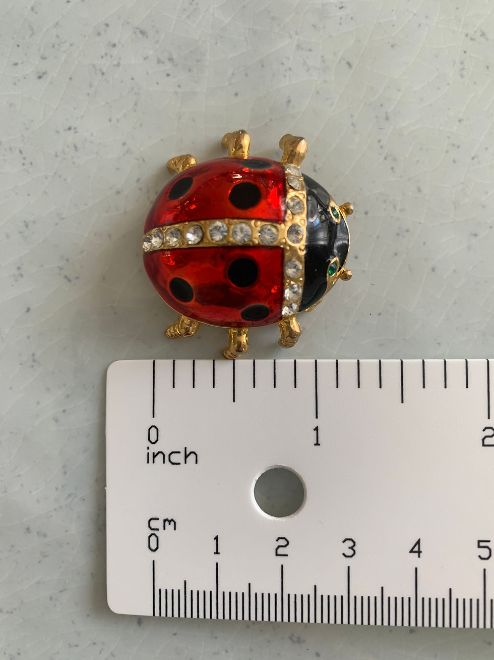 Thumbnail: Lil Ladybug