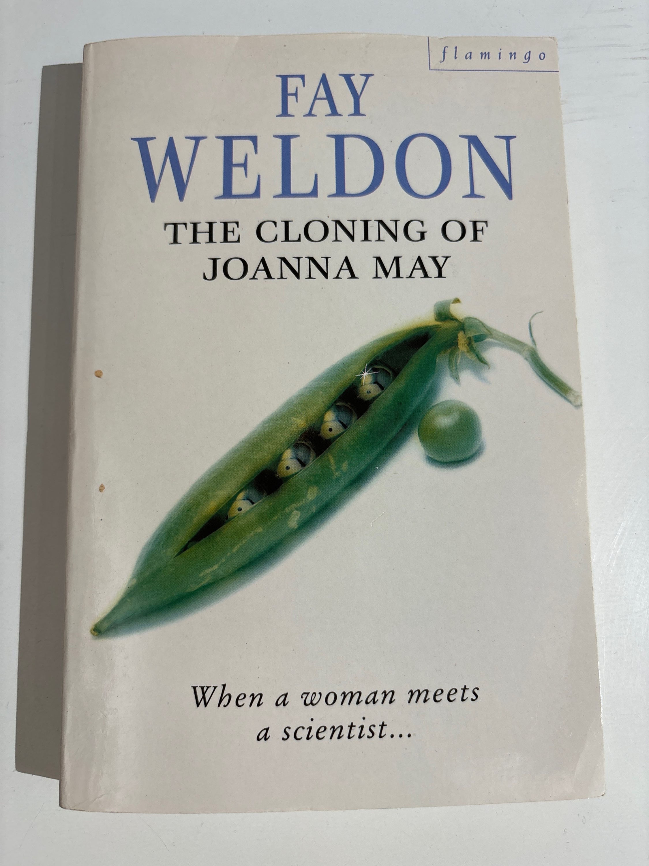 The Cloning of Joanna May