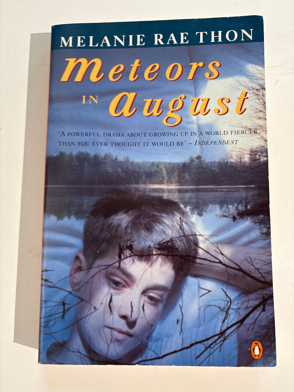 Thumbnail: Meteors in August