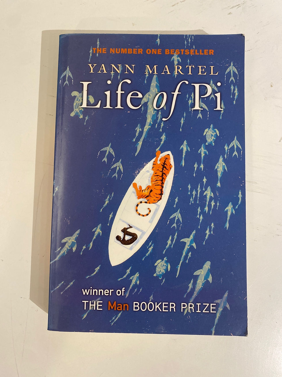 Thumbnail: Life of Pi