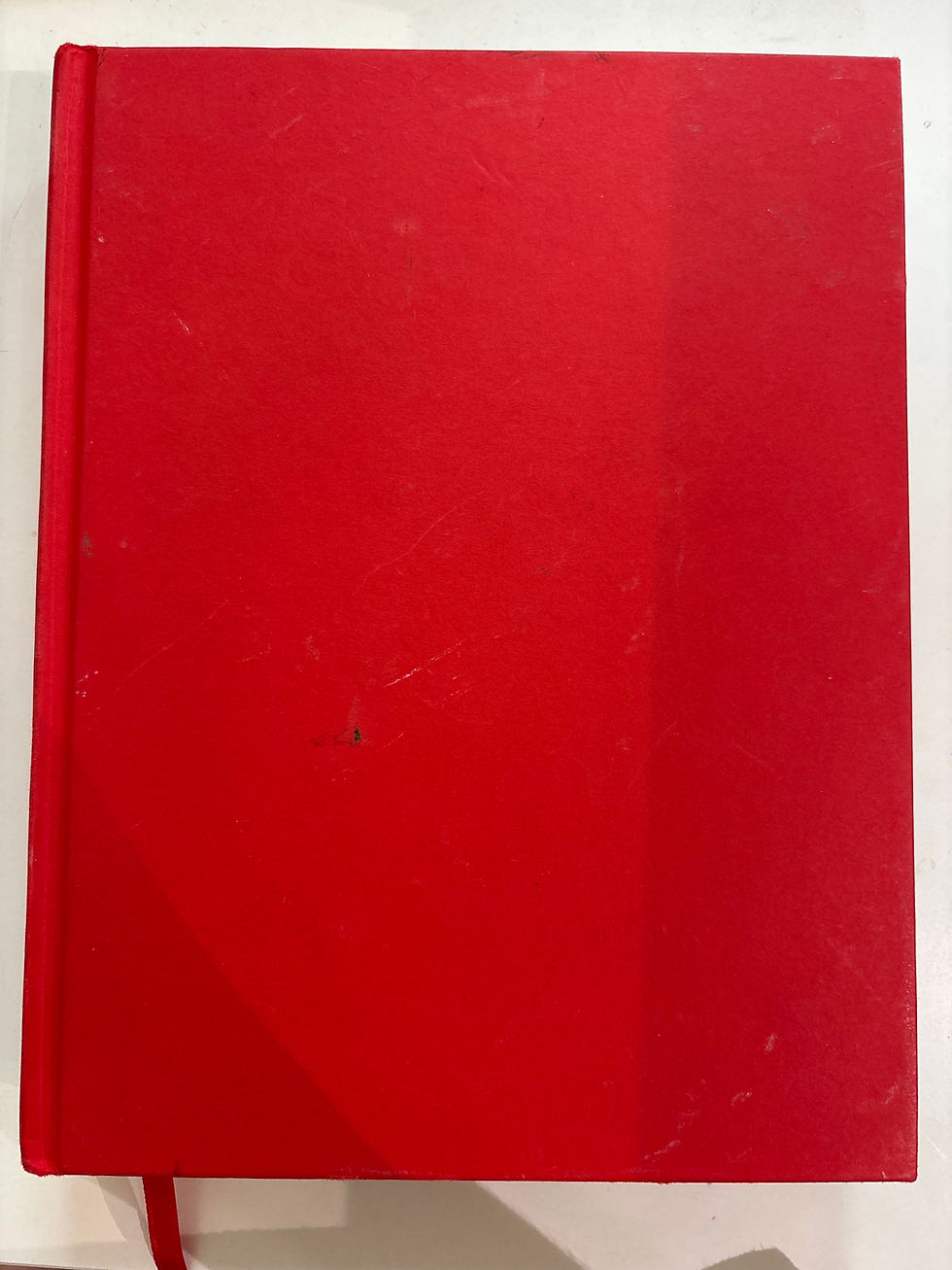 The Man in the Red Coat