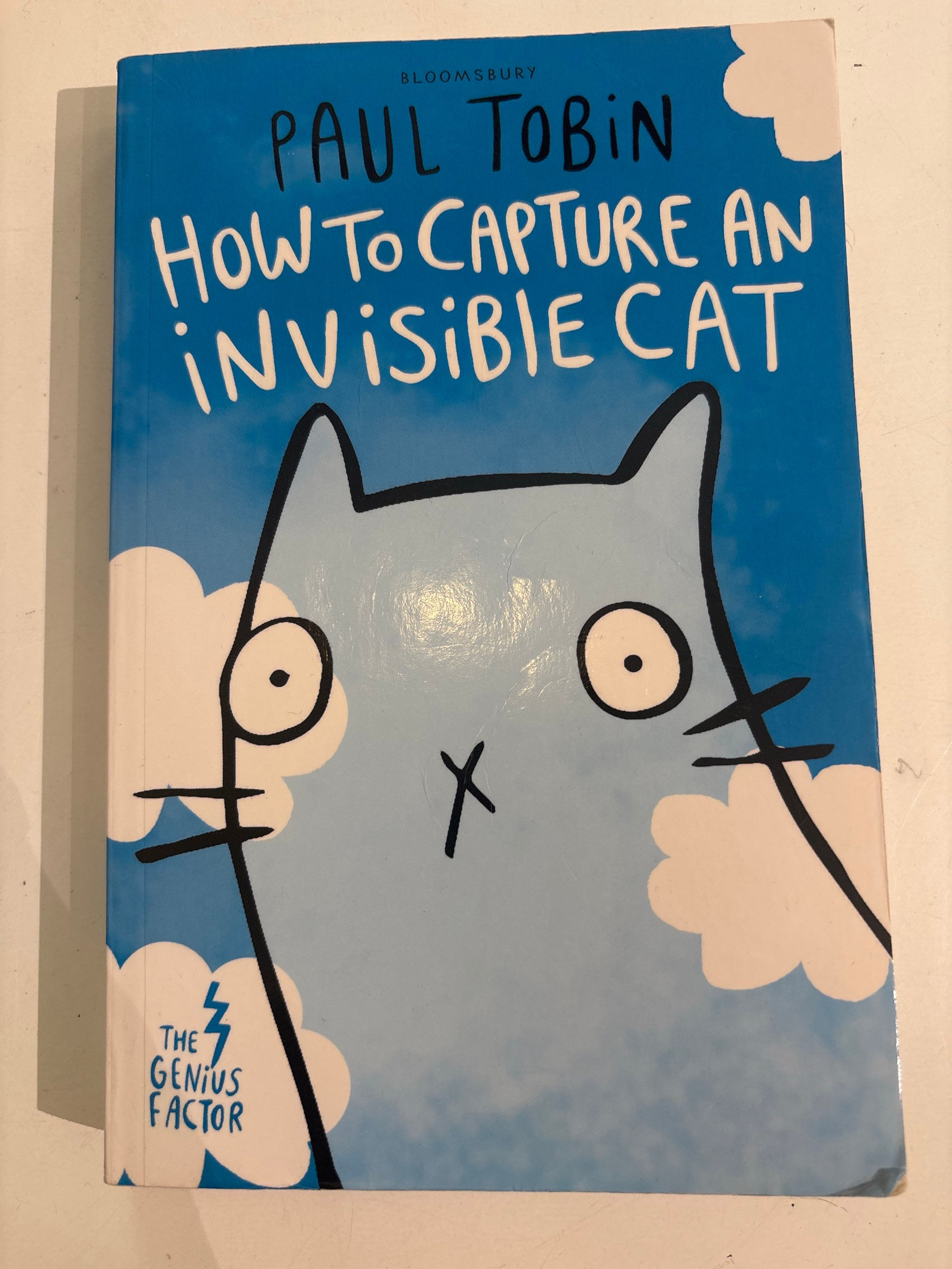 How to Capture an Invisible Cat