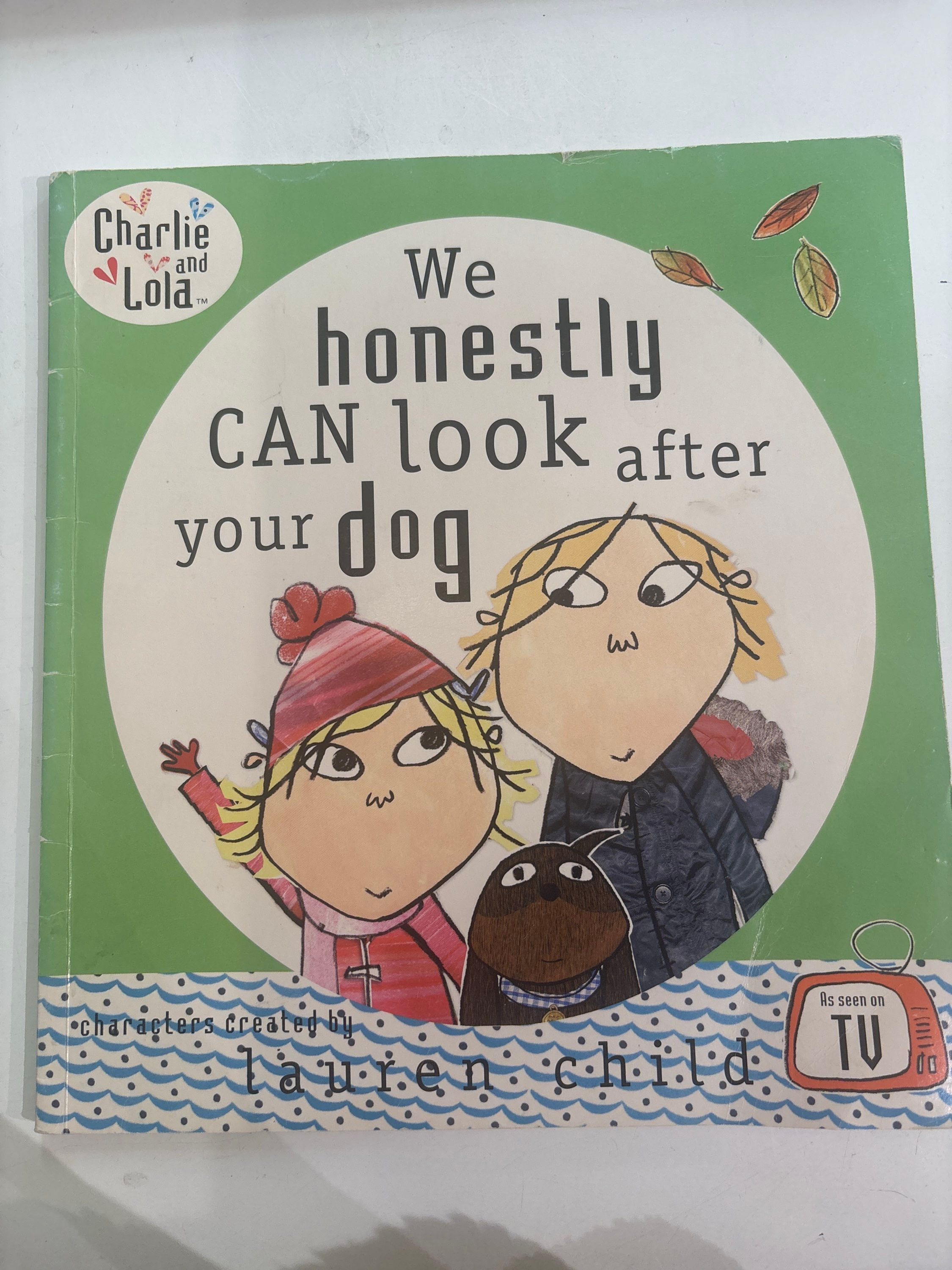 We Honestly Can Look After Your Dog