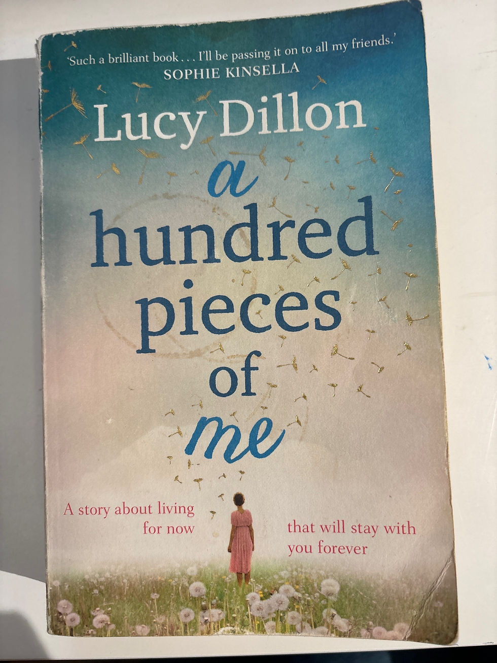 Thumbnail: A Hundred Pieces of Me