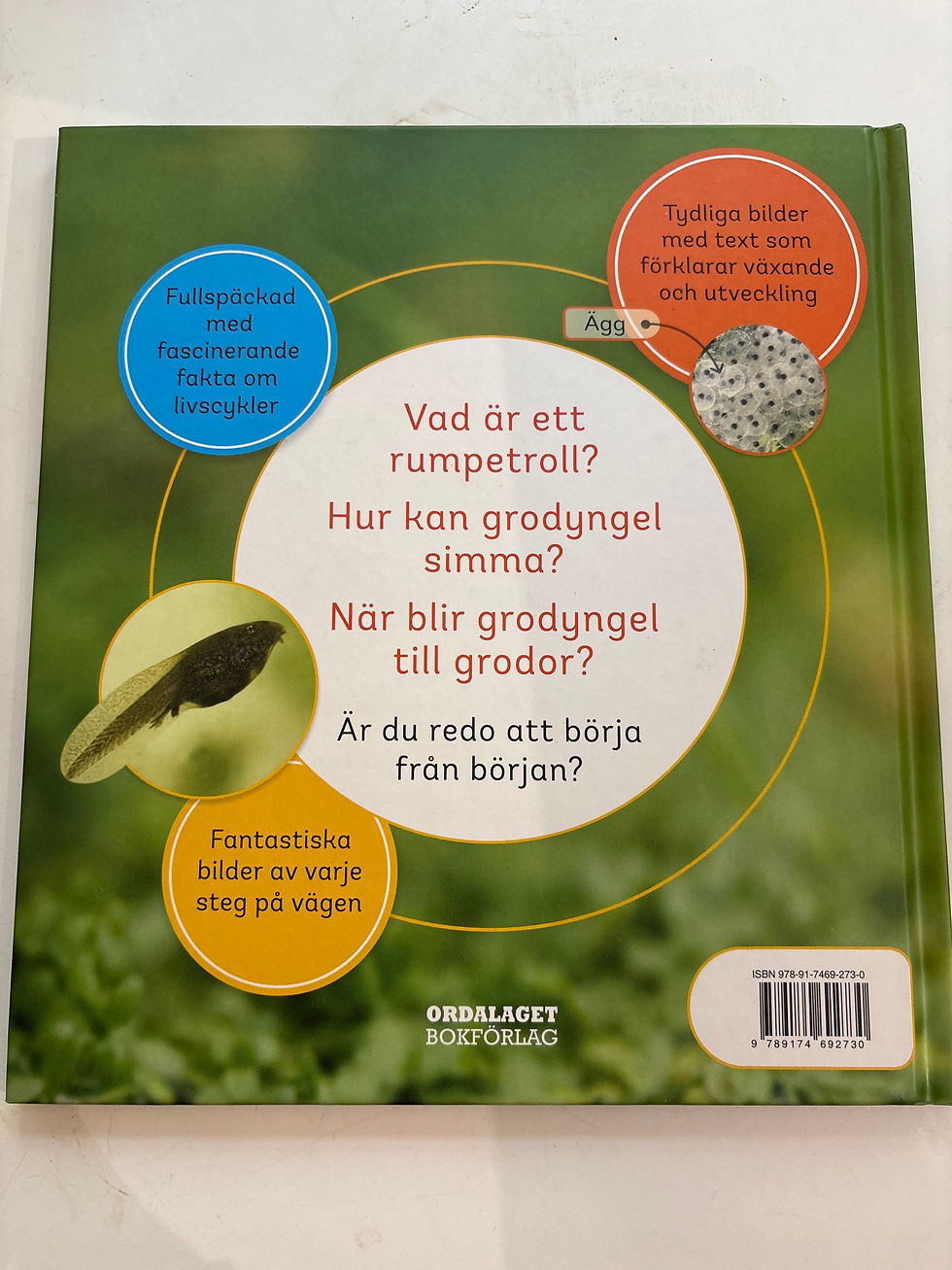 Thumbnail: Fran grodyngel till groda