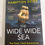 Thumbnail: The Wide Wide Sea