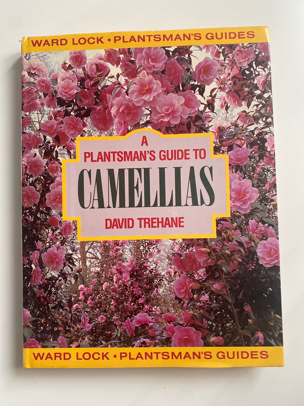 Thumbnail: A Plantsman's Guide to Camellias