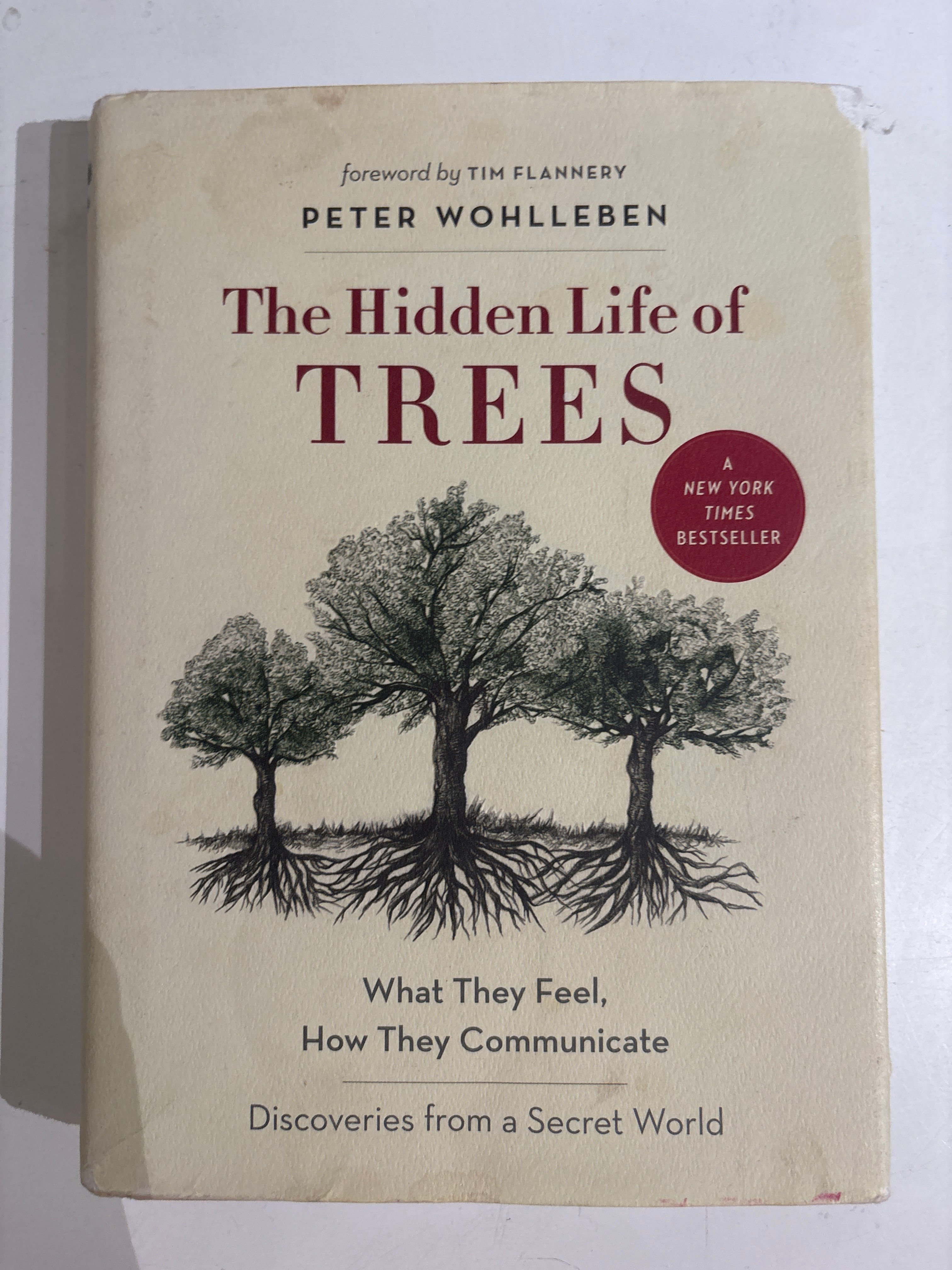 The Hidden Life of Trees