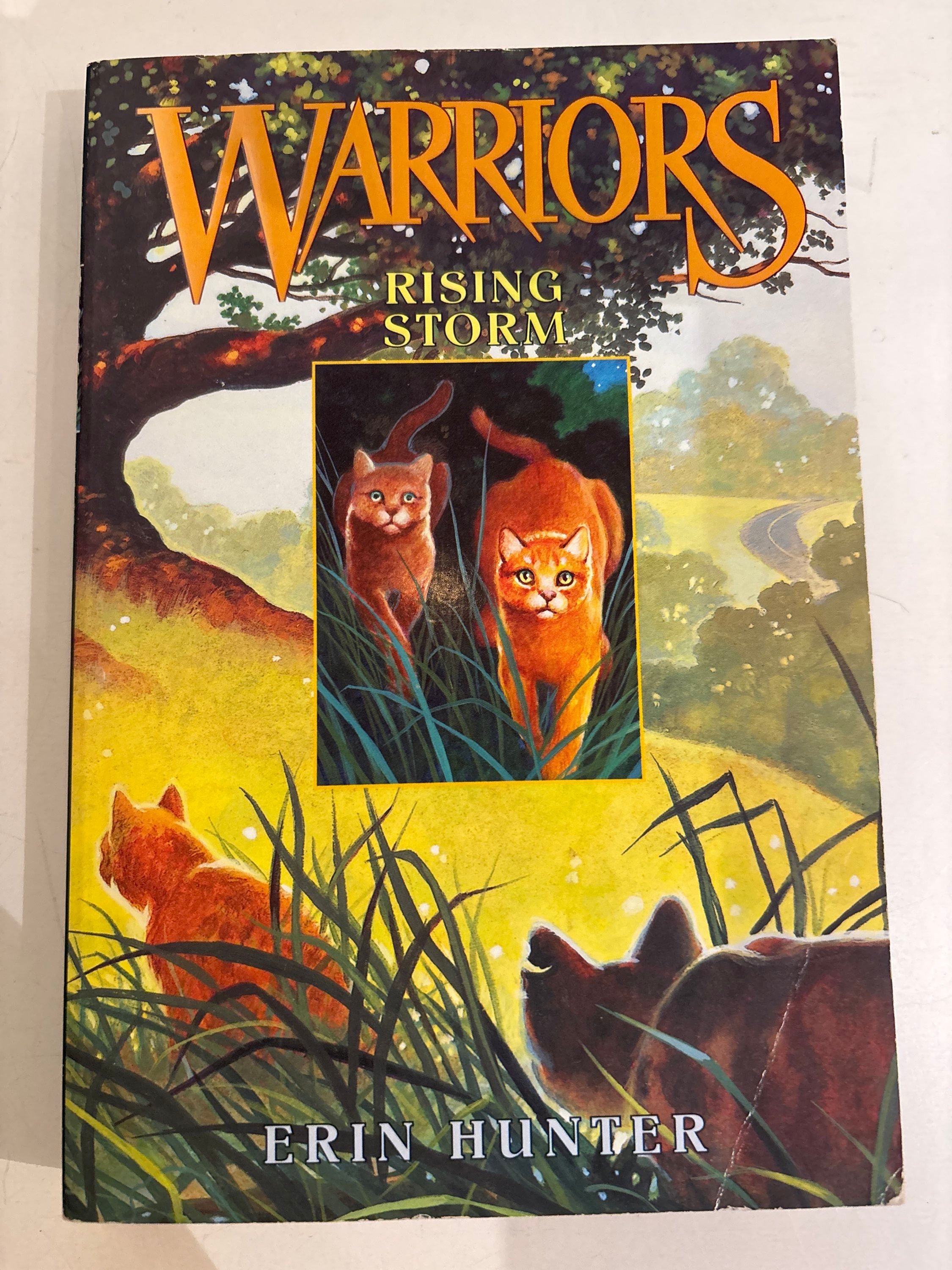Rising Storm (Warriors, #4)