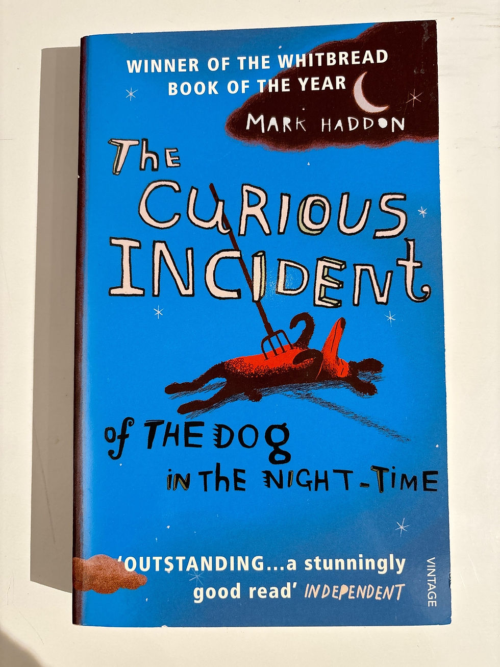 Thumbnail: The Curious Incident of the Dog in the Nighttime