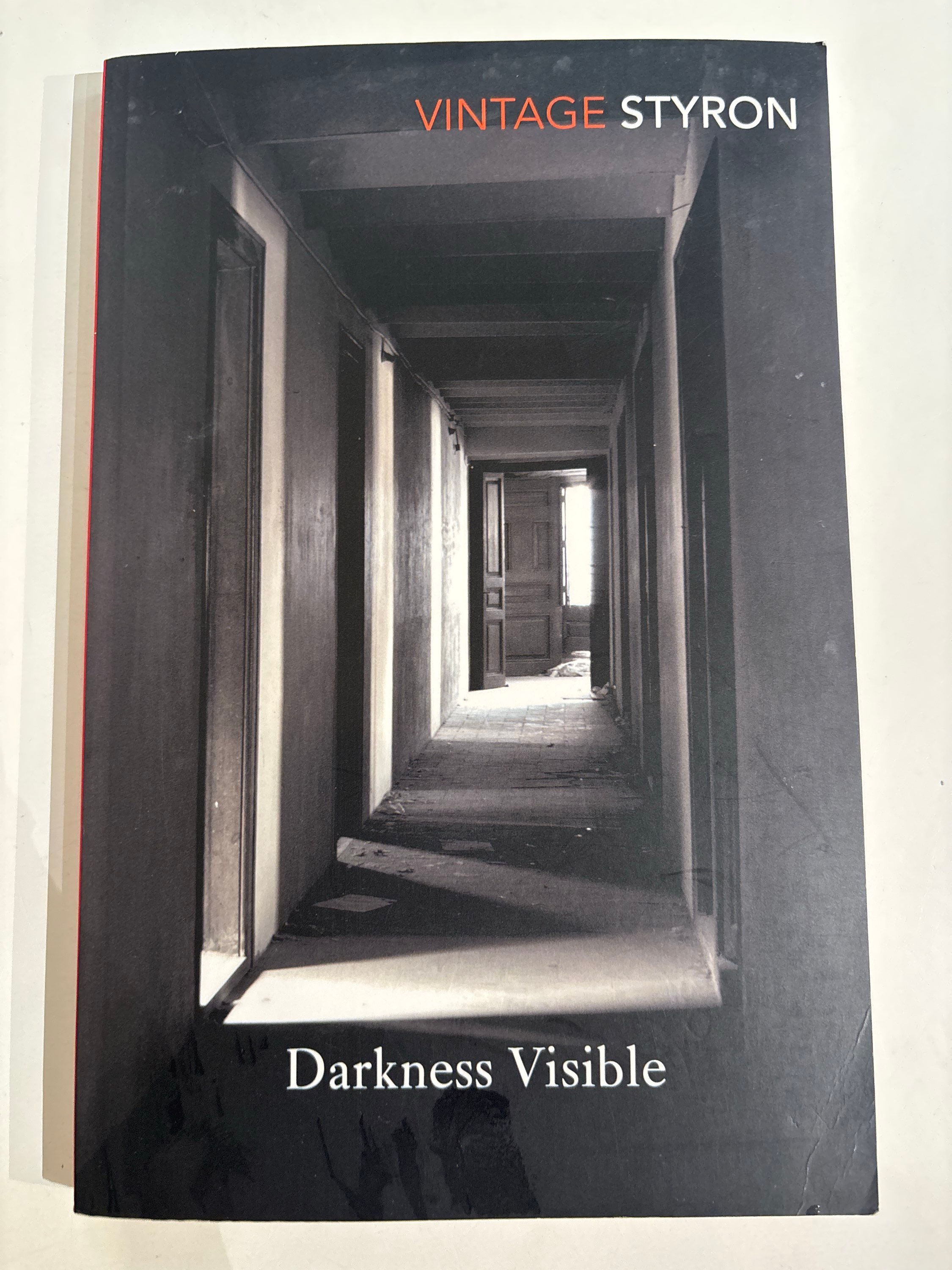 Darkness Visible