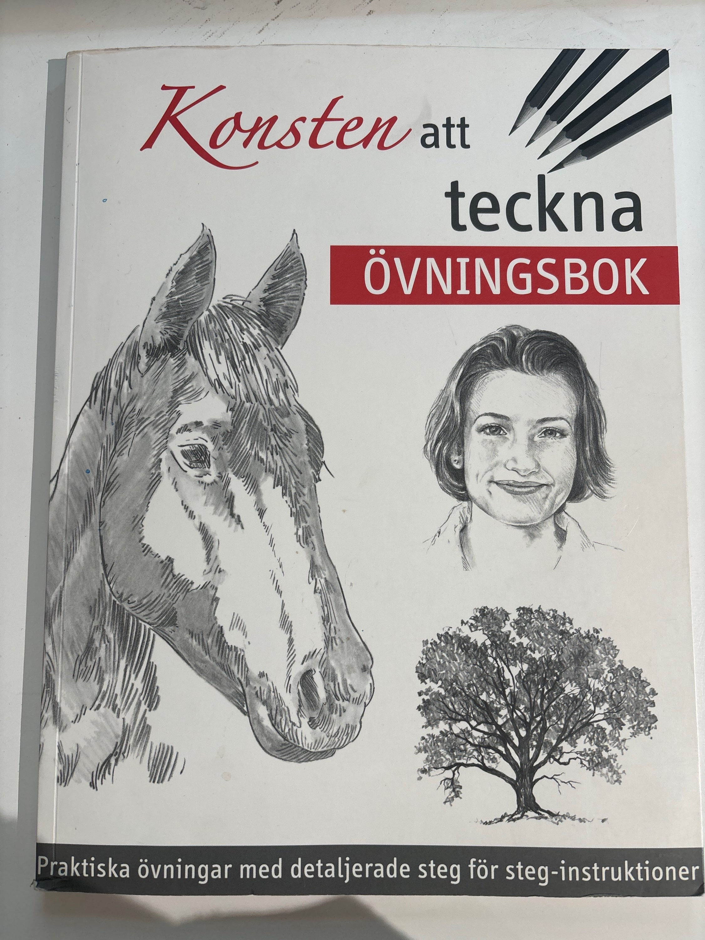 Konsten att teckna