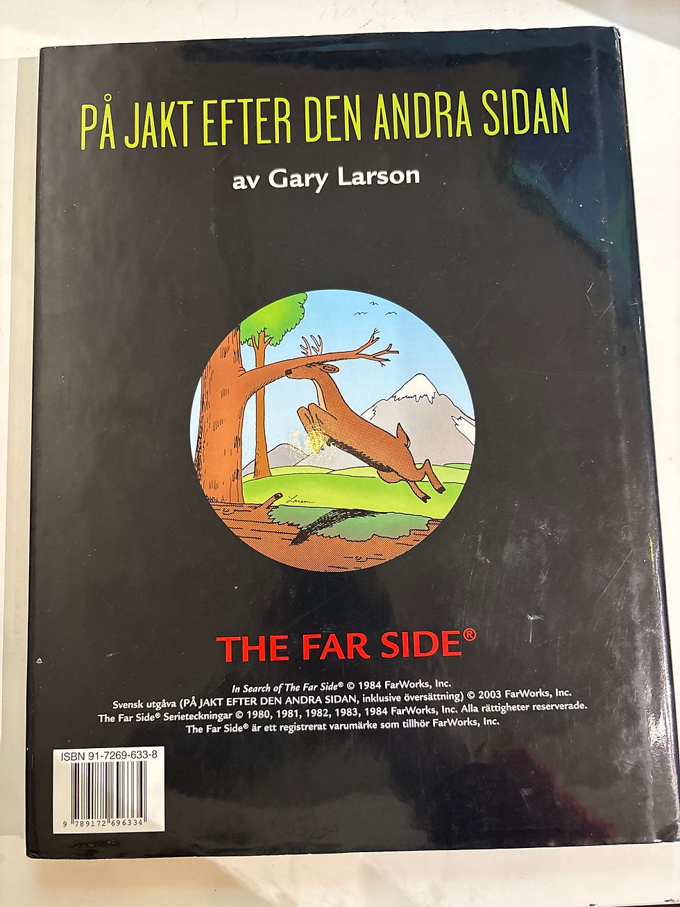Thumbnail: På jakt efter den andra sidan