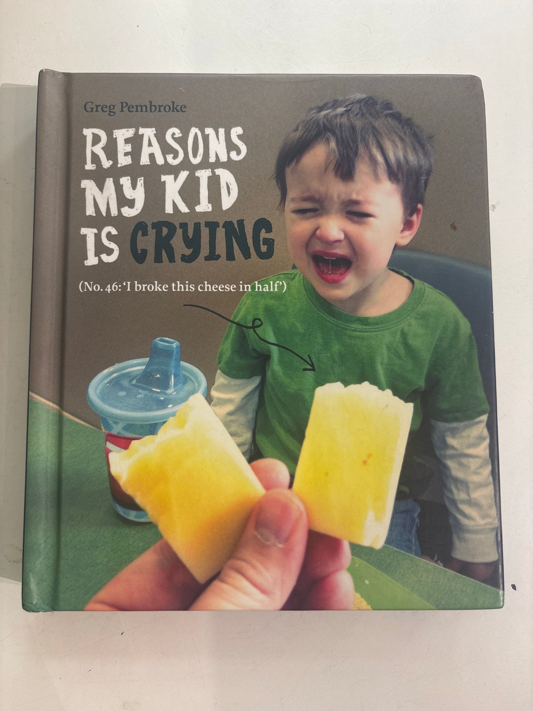 Reasons My Kid is Crying