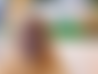 Els drets de la Madina