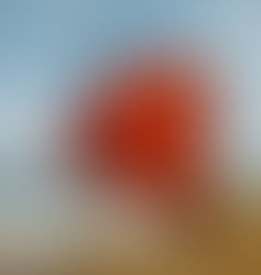 The land of abandoned wonders