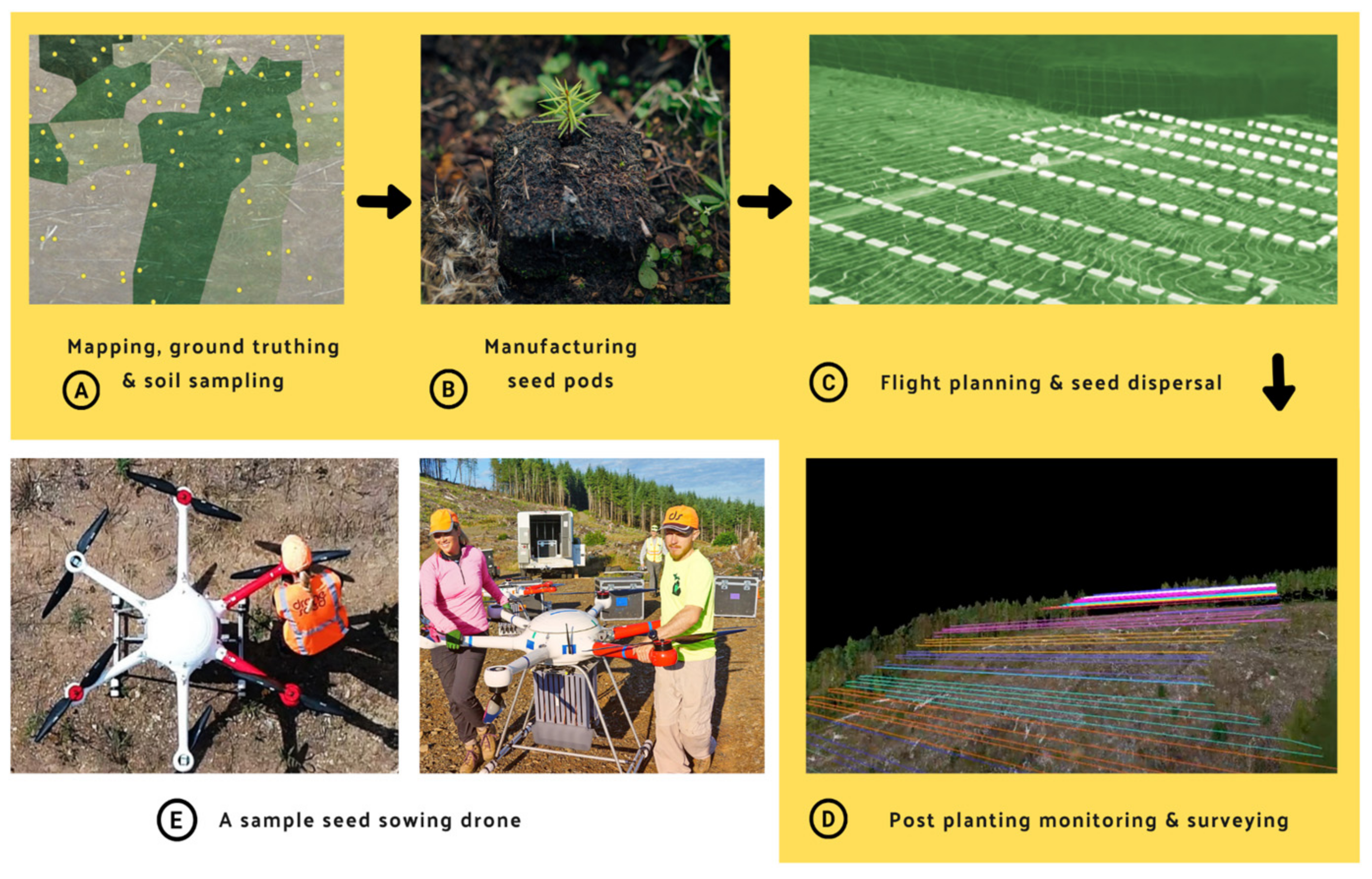 Análise multiespectral mostrando diferentes estágios de saúde da vegetação em área de reflorestamento