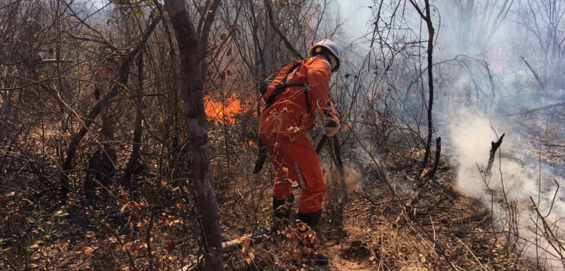 No Brasil, o Corpo de Bombeiros já utiliza drones desde 2015, pois além de realizarem tarefas de maneira rápida e ágil,