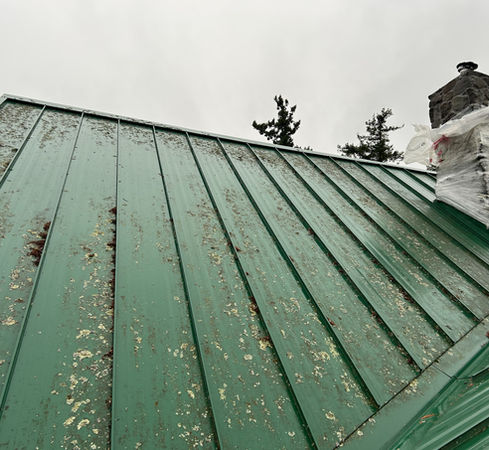 lichen growth on roof