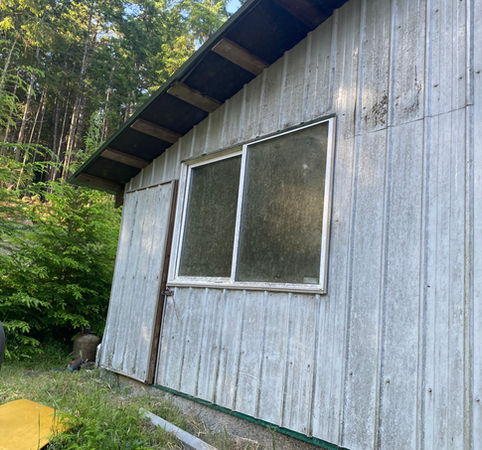 dirty siding-dirty windows