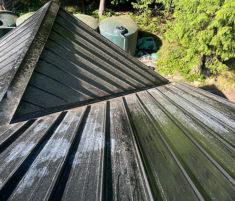 pollen on metal roof